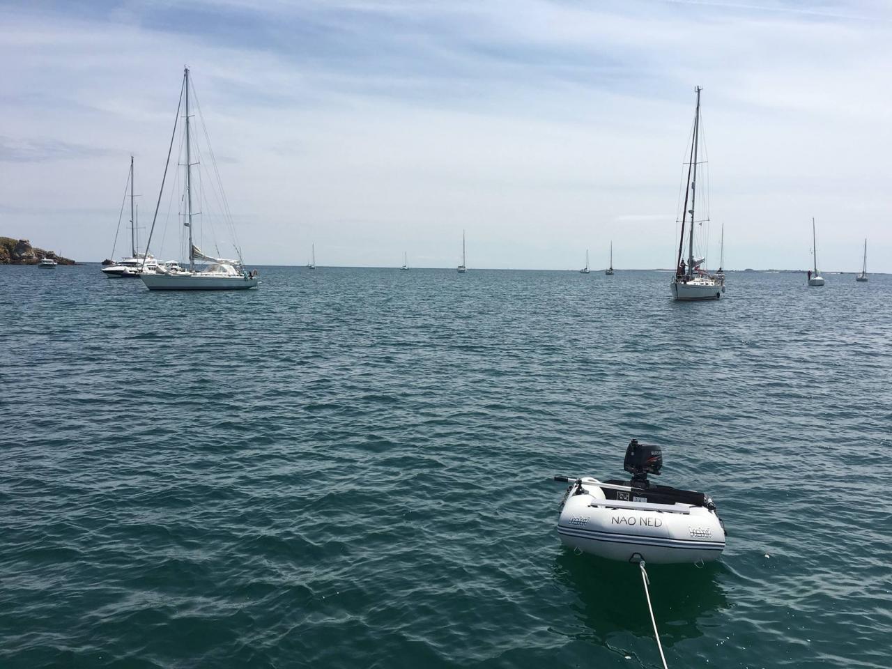 13641311_10208162827560717_8378729930766912843_o