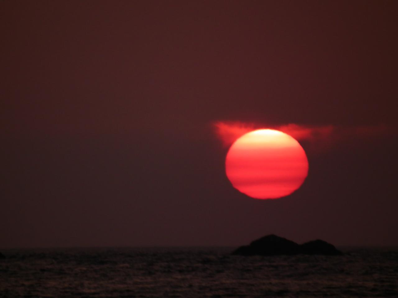 DSCF8298