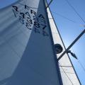 IMG-20180903-WA0005